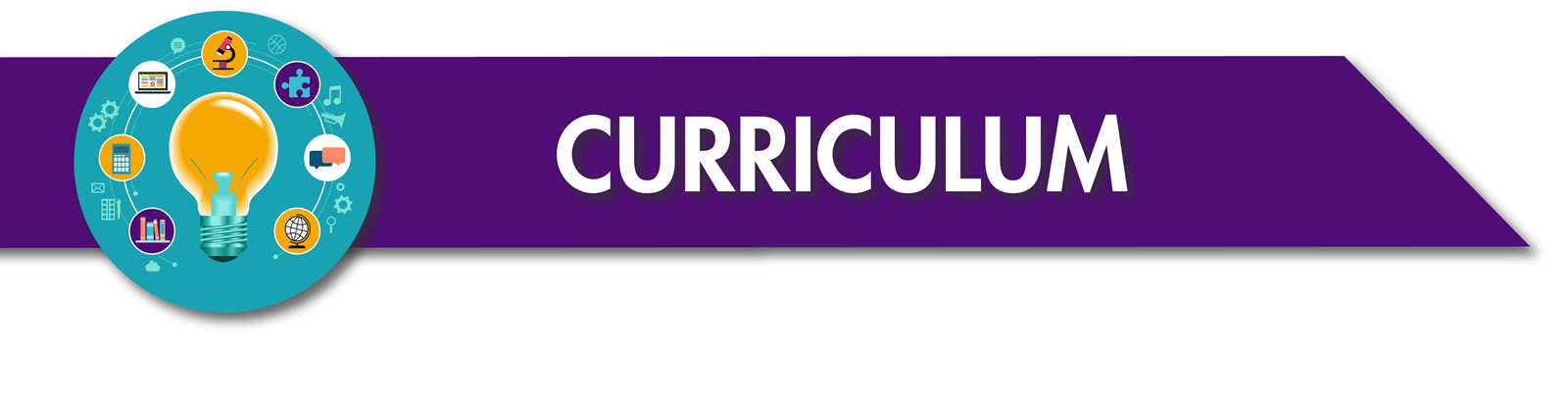 Regular Programming - Curriculum